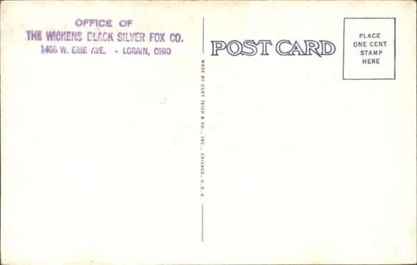 Lorain Residence of Mr. and Mrs. George B. Wic – Bild 2