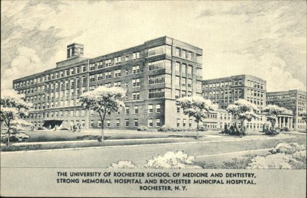 Rochester New York The University