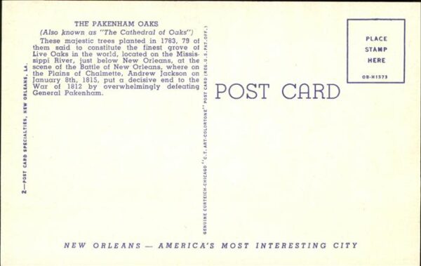 New Orleans Louisiana The Packenham Oaks – Bild 2