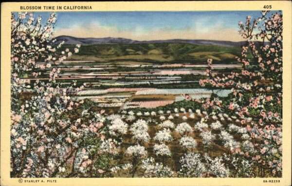 Santa Clara California In the Valley of Heart'D Delight
