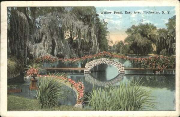 Rochester New York Willow Pond
