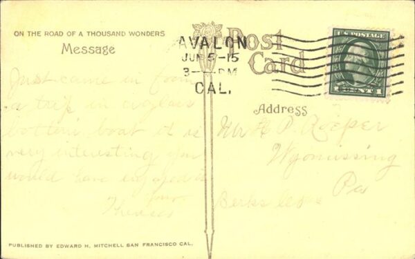 Catalina Island Steamer at Avalon – Bild 2