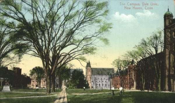 New Haven Connecticut The Campus Yale Universität