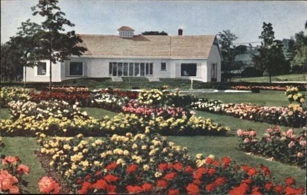 Newark New York Jackson & Perkins Co. Rose Garden