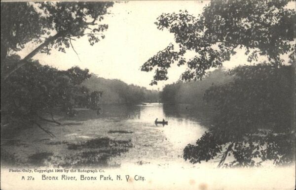 New York City Bronx River Bronx Park