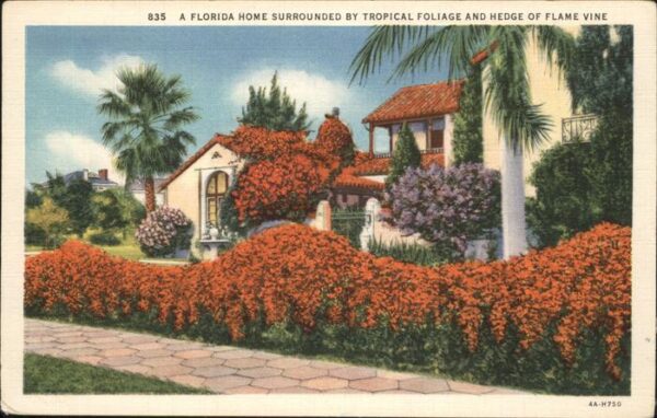 Florida Home