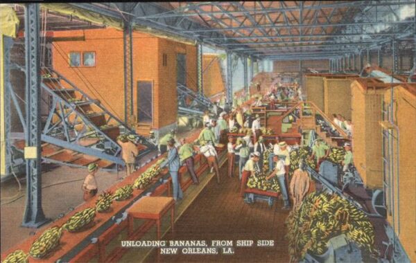 New Orleans Louisiana Unloading Bananas