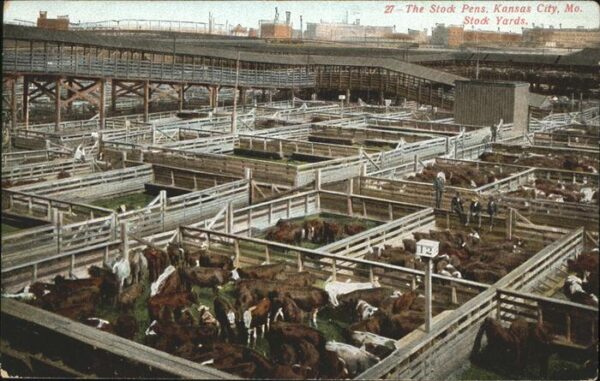 Kansas City Missouri The Stock Pens. Stock Yards