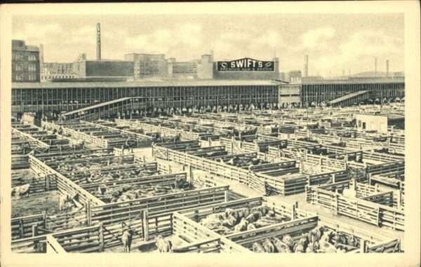 Chicago Illinois Swift & Company's