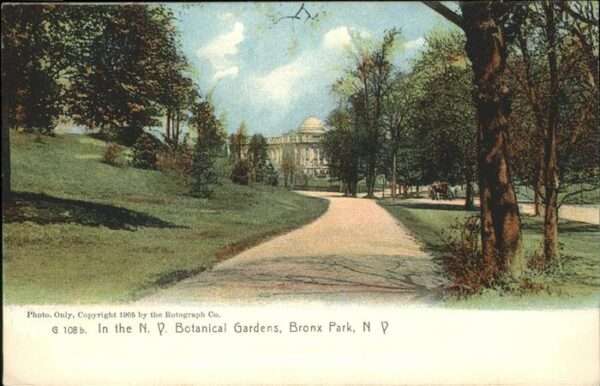 New York City In the NY Botanical Gardens Bronx Park