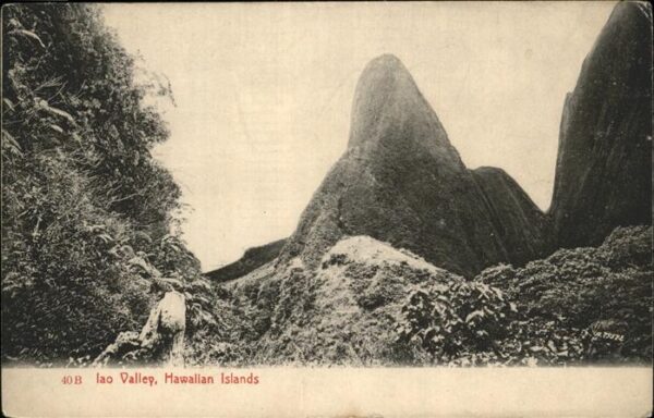 Honolulu Iac Valley Hawaiian Islands