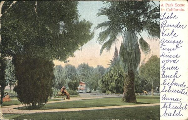 San Francisco California A Park Scene in California