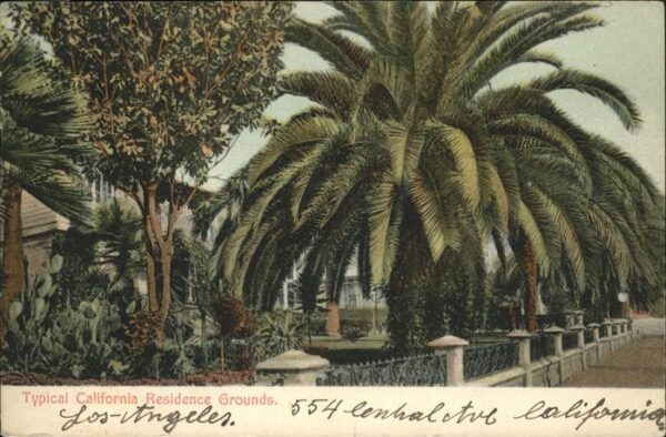 Los Angeles California Typical California Residence Grounds