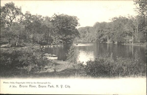 New York City Bronx River _ Bronx Park