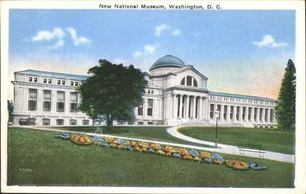 Washington DC New National Museum