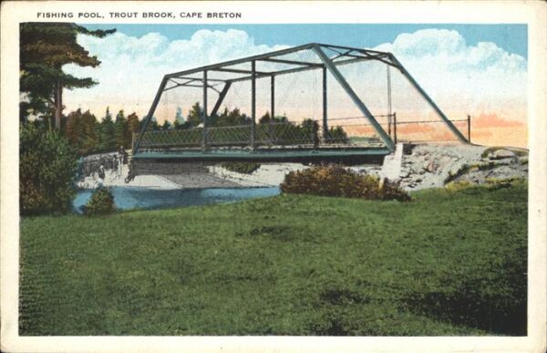Cape Breton Fishing Pool Trout Brook