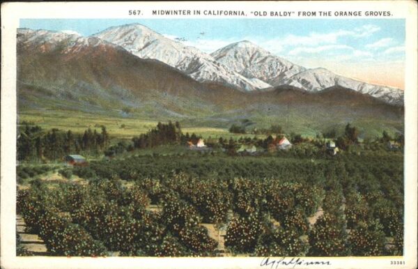 Los Angeles California Midwinter in California _ Old Baldy fro