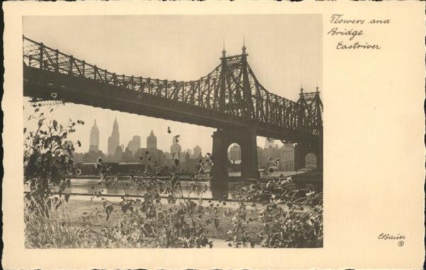 New York City Flowers and Bridge East River