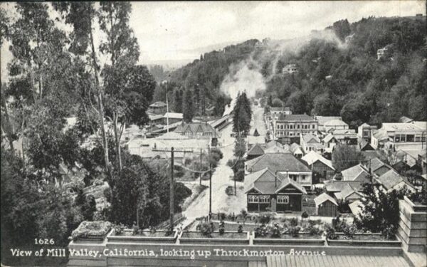 Mill Valley View of Mill Valley _ Looking up Throck