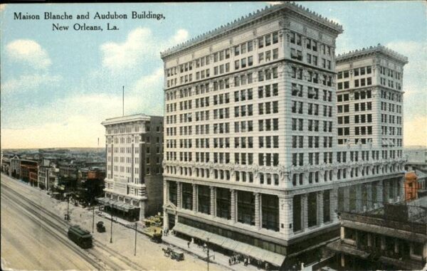 New Orleans Louisiana Maison Blanche and Auduboa Buildings