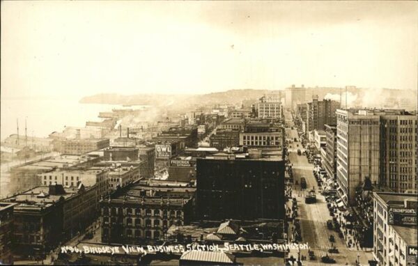 Seattle Birdseye View Business_Section