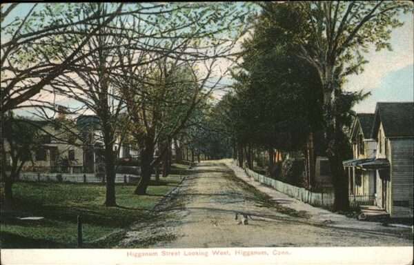 Higganum Street Looking West