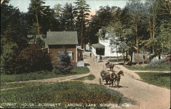 Sunapee Forest House Blodgett Landing _ Lake Su