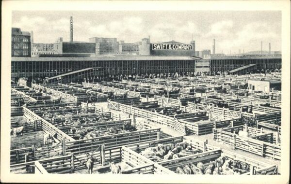 Chicago Illinois Swift & Company's Chicago