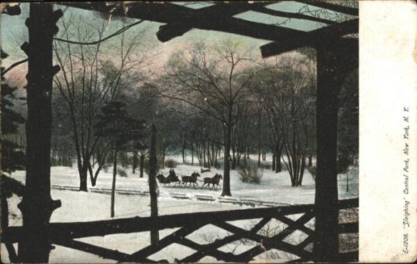 New York City Central Park Pferdeschlitten im Schnee