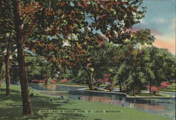 St Louis Missouri Duck Lake in Forest Park