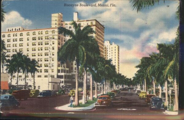 Miami Florida Biscayne Boulevard Autos Palmen