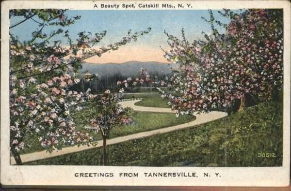 Tannersville New York Apfelblüten