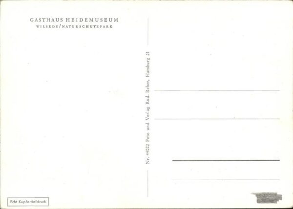 Schafe Lüneburger Heide – Bild 2