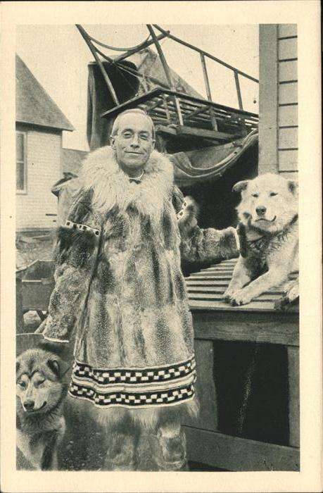 Hunde Crimont S.J. Alaska