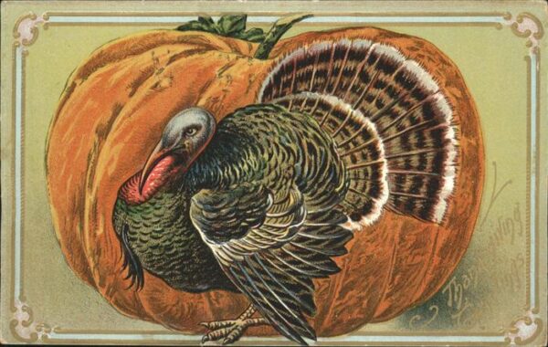 Erntedankfest Truthahn Kürbis Thanksgiving