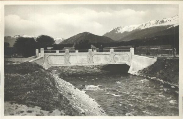 Rio Gutierrez Puente Lago Moreno