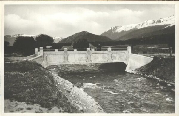 Rio Gutierrez Puente Lago Moreno
