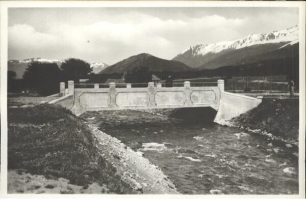 Rio Gutierrez Puente Lago Moreno