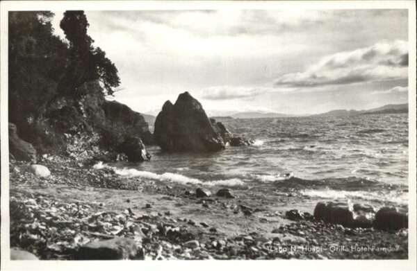 Nahuel Huapi Lago Orilla Hotel Parque