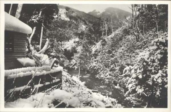 Nahuel Huapi Correntoso en invierno
