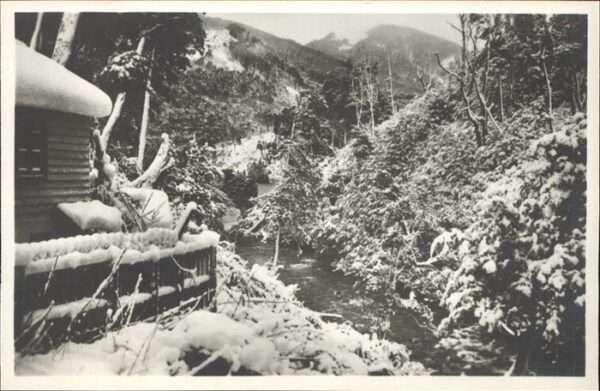 Nahuel Huapi Correntoso en invierno