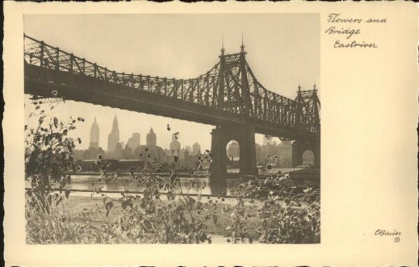 New York City Flowers and Bridge Eastriver