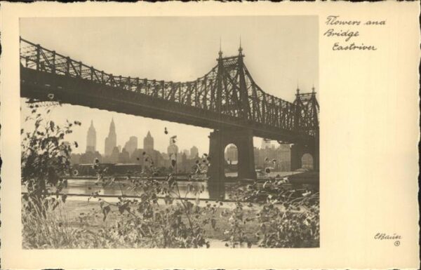 New York City Flowers and Bridge Eastriver