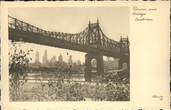 New York City Flowers and Bridge Eastriver