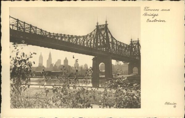 New York City Flowers and Bridge Eastriver