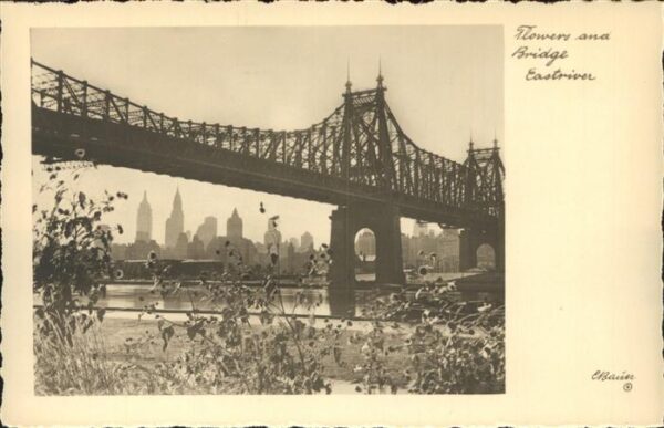 New York City Flowers and Bridge Eastriver
