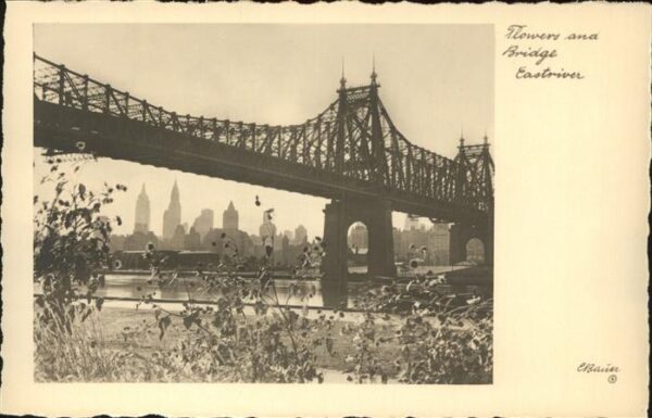 New York City Flowers and Bridge Eastriver