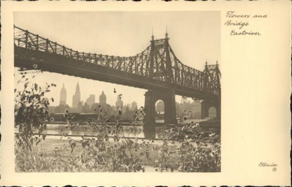 New York City Flowers and Bridge Eastriver