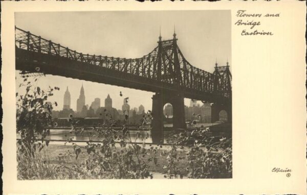 New York City Flowers and Bridge Eastriver