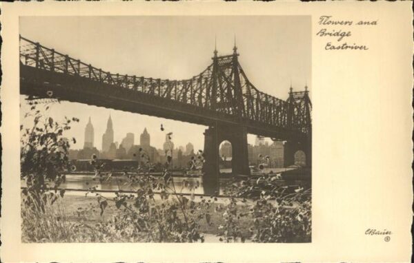 New York City Flowers and Bridge Eastriver